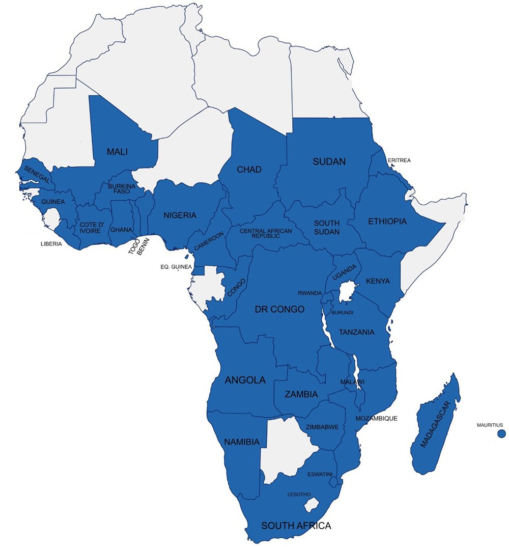 Map of Africa and Madagascar with the countries of the Don Bosco Tech Africa network highlighted.